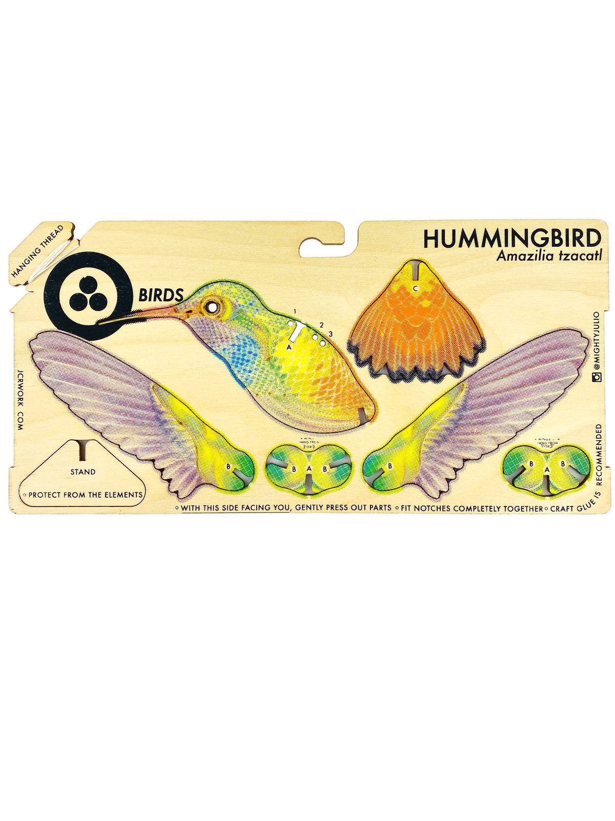 JCR BIRDS : RUFOUS-TAILED HUMMINGBIRD | JCR WORKSHOP